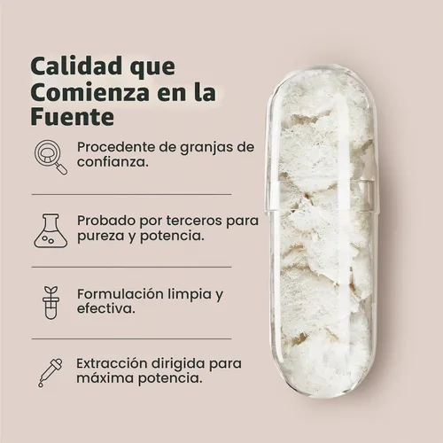 Vista 5 de Freshcap Lions - Suplemento de hongos melena - Apoyo cognitivo, 60 cápsulas