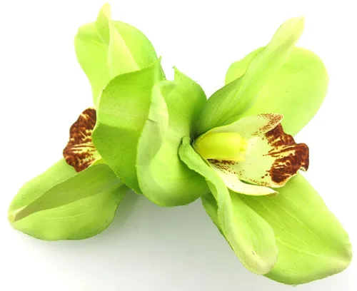 Vista 2 de Doble pinza de pelo de flores de seda verde lima con dientes