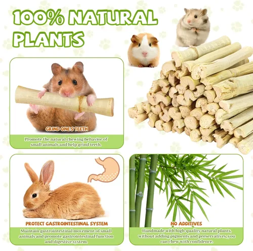Vista 3 de Palitos masticables de bambú dulce natural de 2 libras, golosinas orgánicas para dentición molar ricas en xilosa y vitaminas, juguetes masticables