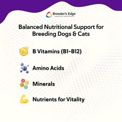 Vista 4 de Breeder's Edge B Polvo fuerte, suplemento vitamínico de complejo B para perros y gatos, apoya la salud reproductiva, promueve los ciclos de calor