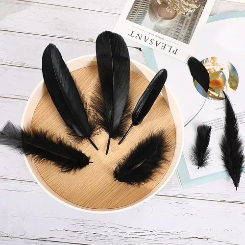 Vista 2 de MARFOREVER 320 plumas negras de Halloween a granel 8 estilos de plumas Negro