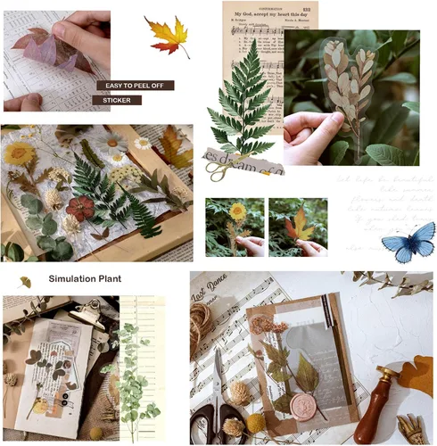Vista 5 de Maxleaf Calcomanías de la Serie Botánica, 80 Calcomanías Grandes de Flores Secas Impermeables Transparentes, Calcomanías Florales de Plantas