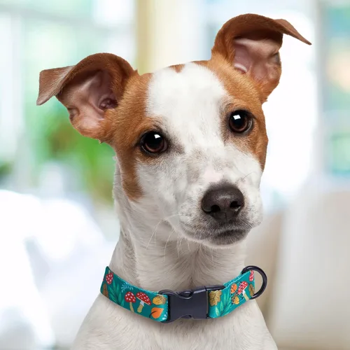 Vista 5 de Mushroom Dog Collar Personalized Custom (X-Small 5/8)