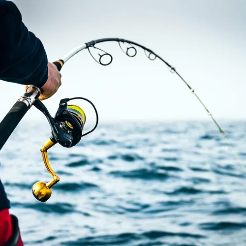 Vista 2 de Penn Carretes de pesca giratorios Slammer IV