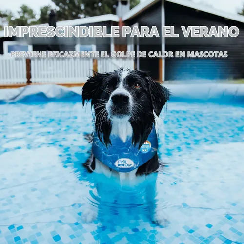 Vista 3 de Bandana con hielo refrescante para relajarse de All for Paws, S