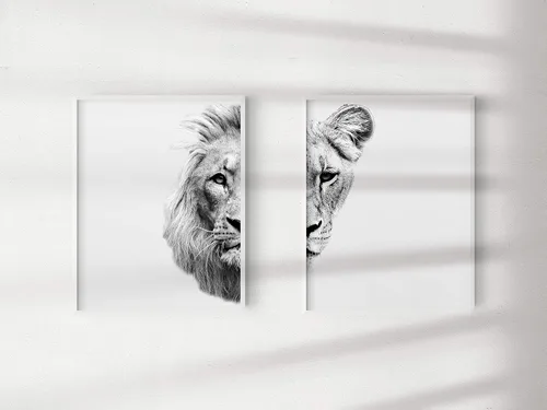 Vista 4 de Black and White Pair of Lions Prints Matching Mr and Mrs Set of 2 Prints Lion and Lioness Photo Print 11x14 Safari Wildlife Art Ready to Frame
