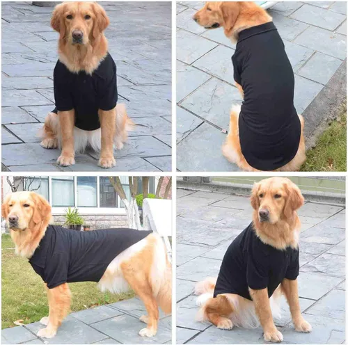 Vista 3 de lovelonglong Polo básico para perro, de algodón de primera calidad, para perros grandes, medianos y pequeños, con cuello de dos botones, color Negro