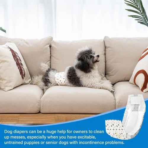 Vista 7 de Pet Soft Pañales desechables para perros machos, con indicador de humedad, ultra absorbentes, cómodos para incontinencia micción excitable, 50