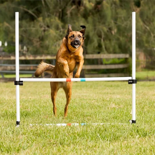 Vista 6 de Midlee Dog Agility - Juego para principiantes - salto de aro, postes de tejido y salto de barra