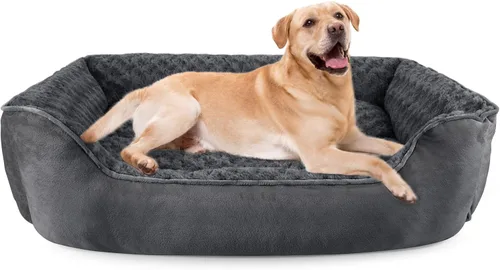 Vista 28 de JOEJOY - Cama rectangular para perros grandes, medianos y pequeños - Cama de sofá ortopédica lavable, suave y transpirable para cachorros y Beige