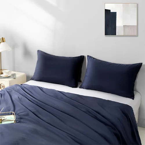 Vista 24 de Paquete de 2 fundas de almohada de microfibra tamaño estándar con cremallera, fundas de almohada color beige, suaves y cómodas, no se encogen Beige