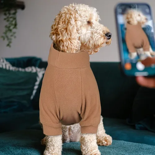 Vista 6 de Pack de 3 suéteres para perros de felpa, ropa para mascotas, cuello alto, suéter suave y cálido para perros pequeños, suéter para cachorros
