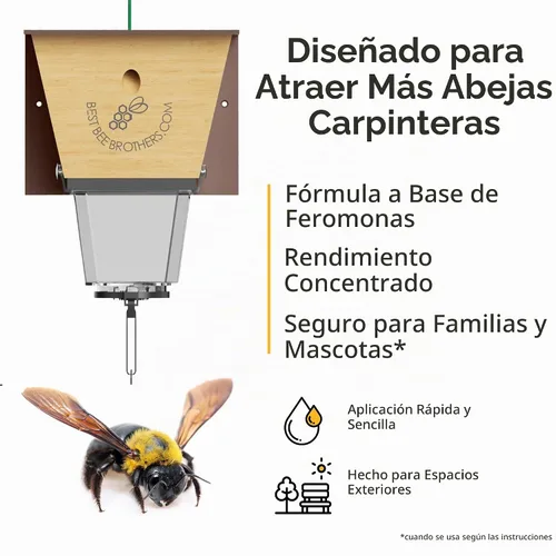 Vista 6 de Best Bee Brothers Bee-Licious - Señuelo de abeja carpintero totalmente 1 Paquete