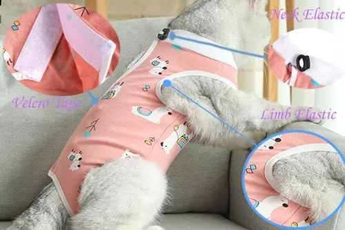 Vista 3 de Traje de recuperación para gatos, enterizo para gatos después de la cirugía, esterilización quirúrgica, heridas abdominales, enfermedades