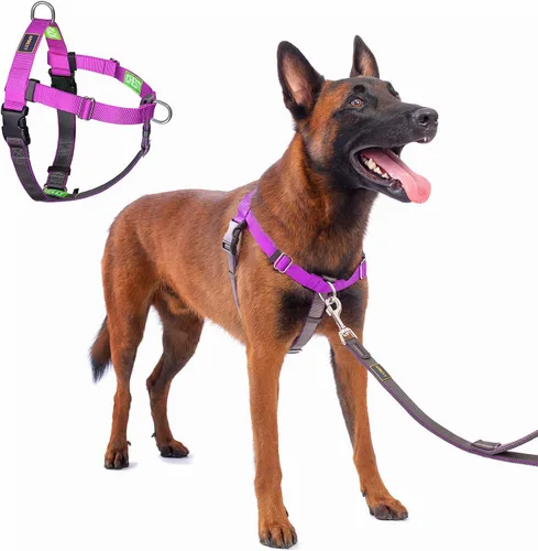 Vista 16 de Freedom - Arnés para perro sin tirones, fácil de caminar, deja de tirar con dos anillos en D de acero inoxidable, cómodo, etiquetas de instrucciones