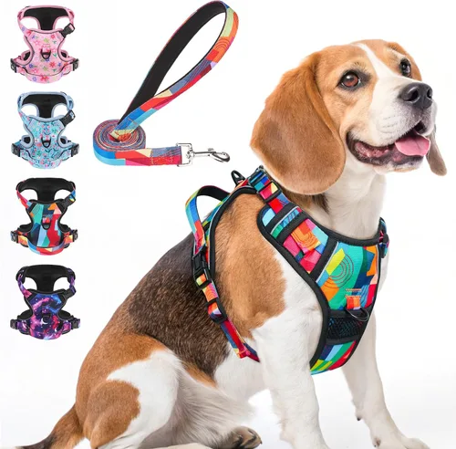 Vista 15 de BEAUTYZOO Arnés para perro sin tirones pequeño, juego de arnés y correa ajustable para perro - Fácil de usar con 3 hebillas/mango de control, arnés