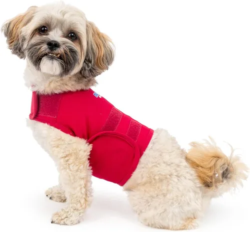 Vista 18 de Camisa Mellow Shirt para calmar la ansiedad de perros, Cypress