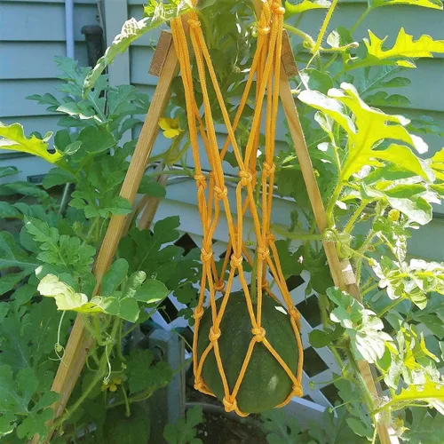 Vista 4 de Bootstrap Farmer Hamacas de melón, paquete de 10 cunas, redes para melones, perfectas para cultivar melón, melón, sandía, pepinos