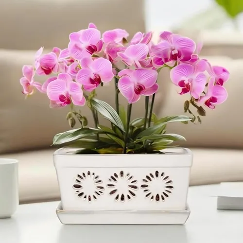 Vista 12 de EFISPSS Maceta de orquídea de 10 pulgadas, macetas de cerámica para orquídeas con agujeros, macetas de interior con drenaje y platillo, macetas