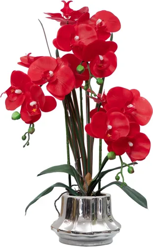 Vista 13 de CXGS Planta de orquídeas artificiales de 20.9 pulgadas, orquídeas artificiales de tacto real en jarrón de cerámica, arreglo floral de Phalaenopsis