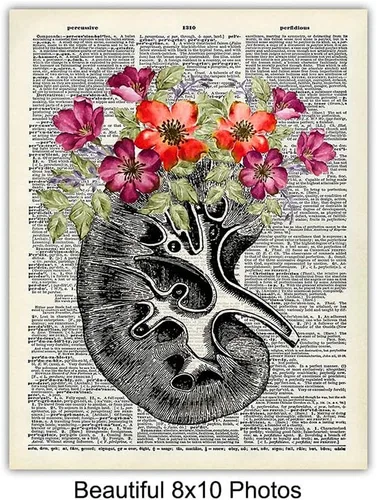 Vista 4 de Decoración artística de pared de corazón, cráneo, cerebro, pulmones, riñón, hígado, decoración de habitación de anatomía humana, decoración