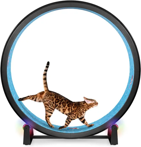 Vista 11 de One Fast Cat - Rueda de ejercicio para gatos, fabricada en los Estados Unidos, 48 pulgadas de diámetro, Gen. 7