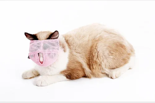 Vista 5 de Bozales para gatos – Bozales de malla transpirable que evitan que los gatos muerdan y mastiquen – Anti mordidas antimaullidos (azul-L)