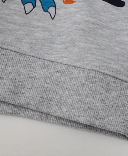 Vista 6 de LOKTARC Paquete de 2 sudaderas para niños pequeños con estampado de manga larga y cuello redondo