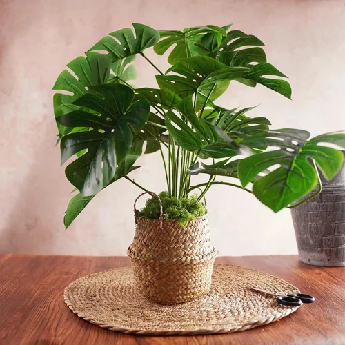 Vista 4 de USMOLA Musgo falso de 3.5 onzas para plantas de interior, musgo artificial para centros de mesa, jardines de hadas, terrarios, césped sintético
