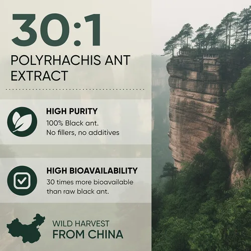 Vista 7 de Jungle Powders Tongkat Ali para hombres Extracto 200:1 282 porciones, polvo de hormigas negras 30:1, 94 porciones 5 onzas de suplemento de raíz