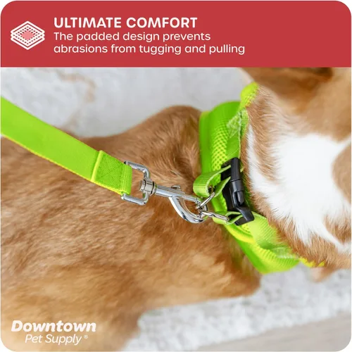 Vista 127 de Downtown Pet Supply Arnés para perro Step-in – Sin tirones, malla acolchada ajustable con ribete reflectante, correa de hebilla segura – Arnés