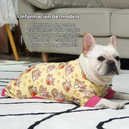 Vista 8 de KYEESE - Pijama de terciopelo para perros pequeños para uso diario, ardilla