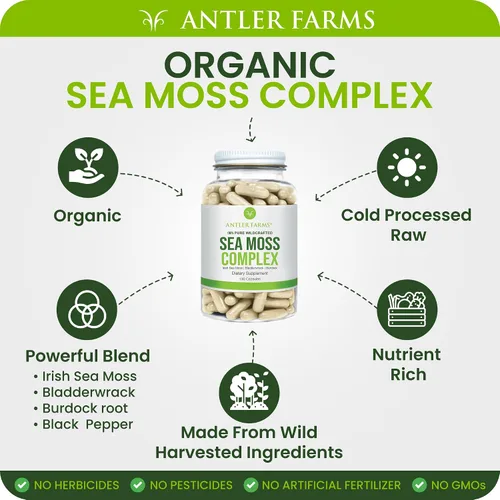 Vista 4 de Antler Farms Complejo de musgo marino 100% puro, 130 cápsulas, musgo marino irlandés silvestre, vejiga y raíz de bardana - Una potente mezcla