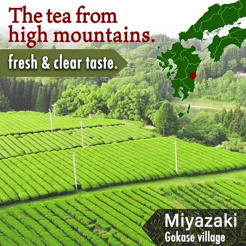 Vista 4 de YAMASAN KYOTO UJI Té orgánico Oolong Té de hojas sueltas, 100% auténtico fabricado en Japón, 3.53 onzas (3.53 onzas)