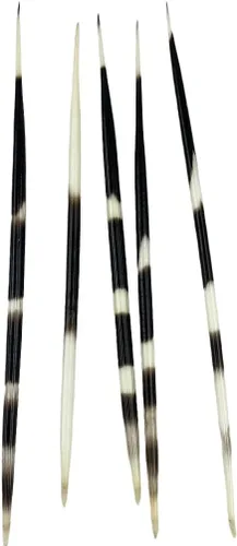 Vista 3 de Heyiwell 5 plumas de puercoespín africano de 8 a 9 pulgadas de largo 8"~9