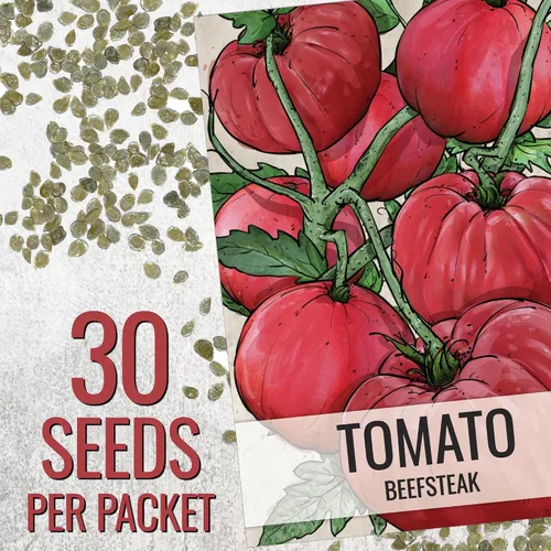 Vista 3 de Seed Needs Semillas de tomate para plantar tomates indeterminados de carne de res verdaderos, reliquia sin OMG y semillas de vegetales sin tratar