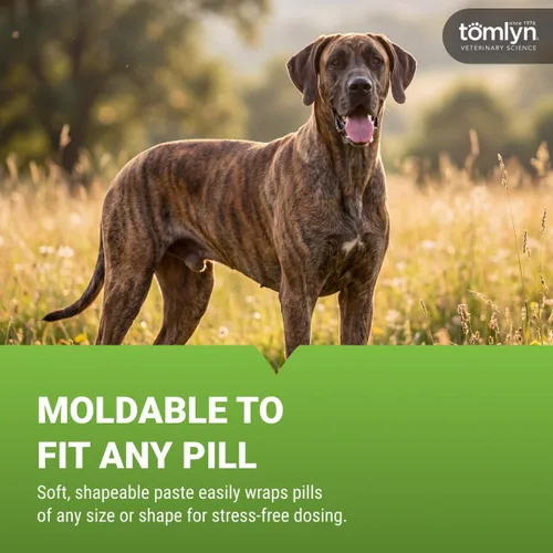 Vista 4 de TOMLYN Pill-Masker - Pasta aromatizada de tocino original para perros y gatos, 4 onzas
