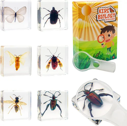 Vista 10 de Juego de muestras de insectos, colección de insectos, regalo educativo científico para niños de 3 a 8 a 12 años