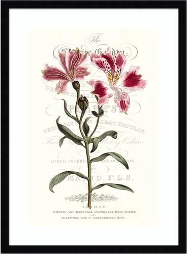 Vista 10 de Amanti Art Vision Studio - Lienzo decorativo para pared, 24 x 18 pulgadas, varietales de jardín de flores, arte de pared de flores, decoración