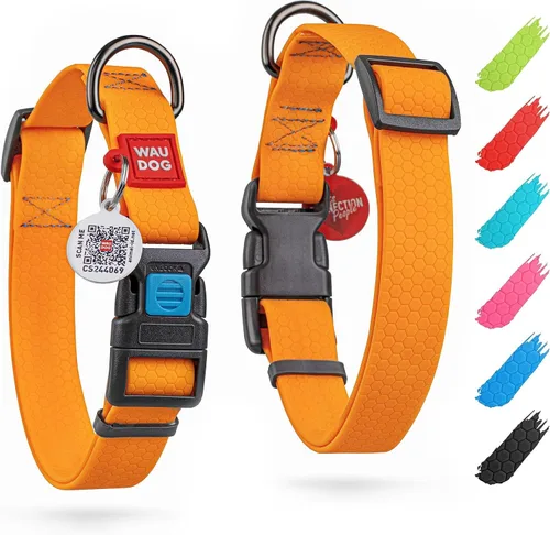 Vista 24 de WAUDOG Collar de perro impermeable – Collar ajustable para perros grandes, pequeños y medianos – Collares resistentes con cierre de metal duradero