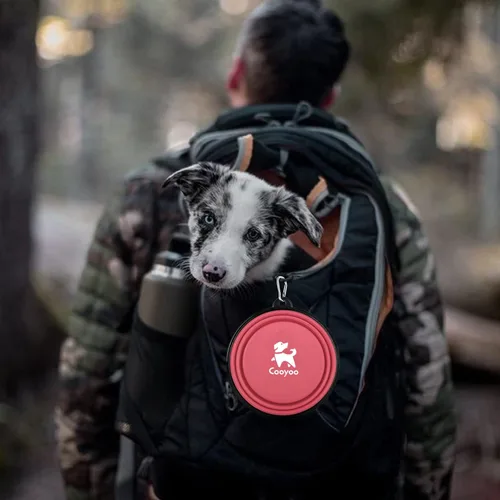 Vista 85 de COOYOO Cuenco plegable para perros, paquete de 2 cuencos plegables para agua para perros y gatos, plato portátil para alimentación de mascotas