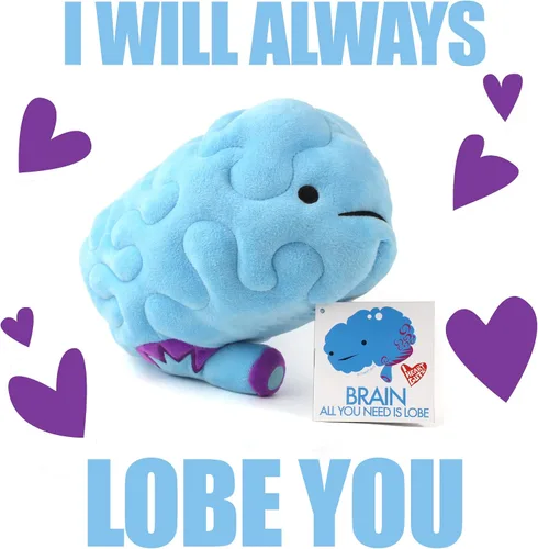 Vista 6 de Peluche de cerebro– ¡All You Need Is Lobe! - Serie I Heart Guts.