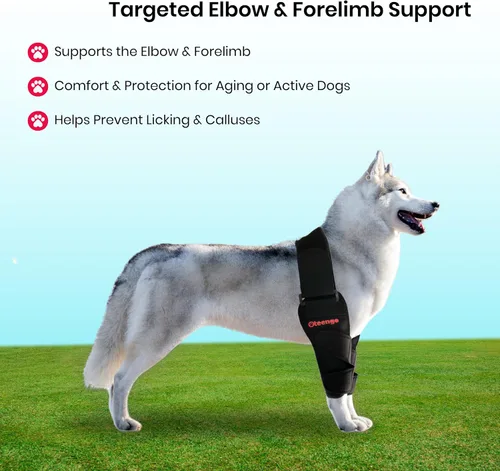 Vista 7 de Coderas protectoras para perros y coderas acolchadas para perros, coderas Hygroma para perros y coderas para perros para úlceras por presión, perros