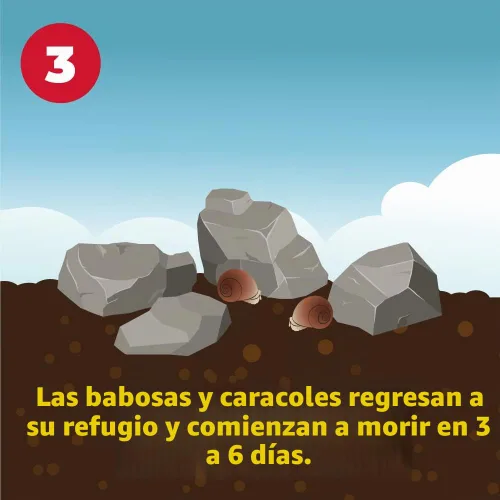 Vista 6 de Corry's Asesino de babosas y caracoles, caja de 1.75 libras