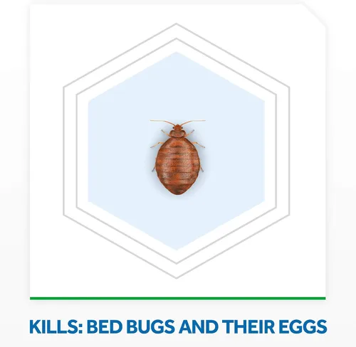 Vista 3 de Raid Max Bed Bug Protección extendida, mata las chinches durante 8 semanas en maderas y superficies laminadas, 22 onzas