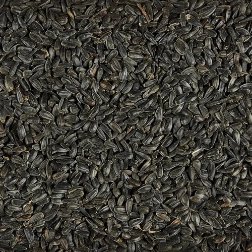 Vista 5 de Kaytee Alimento para Aves Silvestres de Girasol con Aceite Negro, 20 Libras