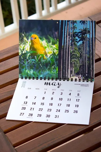 Vista 4 de 2018 Wall Calendar (The Real Backyard Birds of Rio de Janeiro)