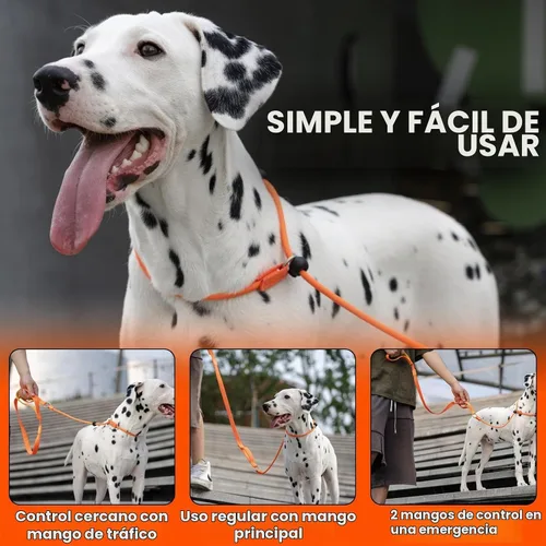 Vista 2 de HowGo Correa antideslizante para perro con 2 tapones con resorte