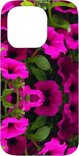 Vista 14 de iPhone 16 Purple Petunia Floral Cool Garden Plant Flower Gardener Gift Case