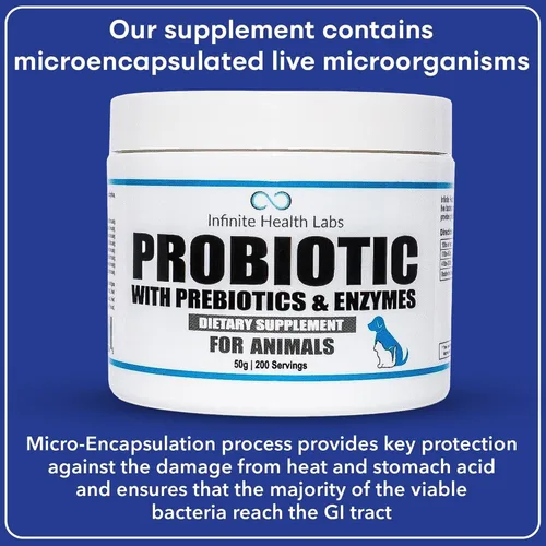 Vista 7 de Probióticos para perros y gatos – Formulado por veterinarios, fabricado en Estados Unidos, prebiótico y enzimático para mascotas en polvo